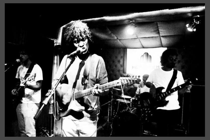 Boogarins